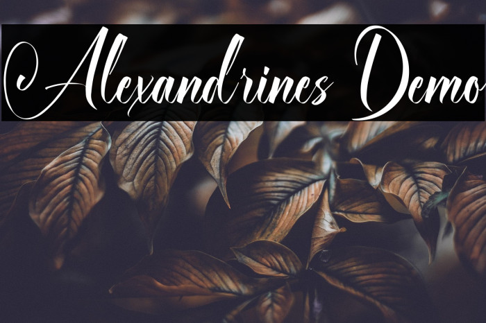 Alexandrines Demo Example 1