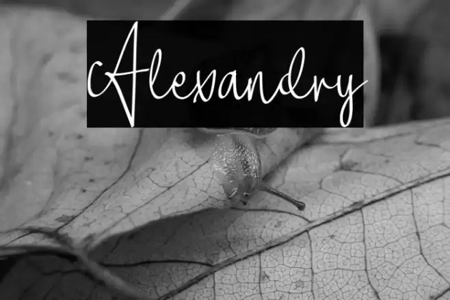 Alexandry Font examples