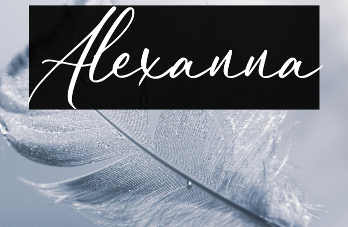 Alexanna Example 2