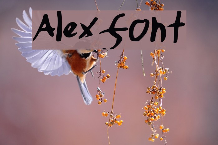 Alexfont Example 1