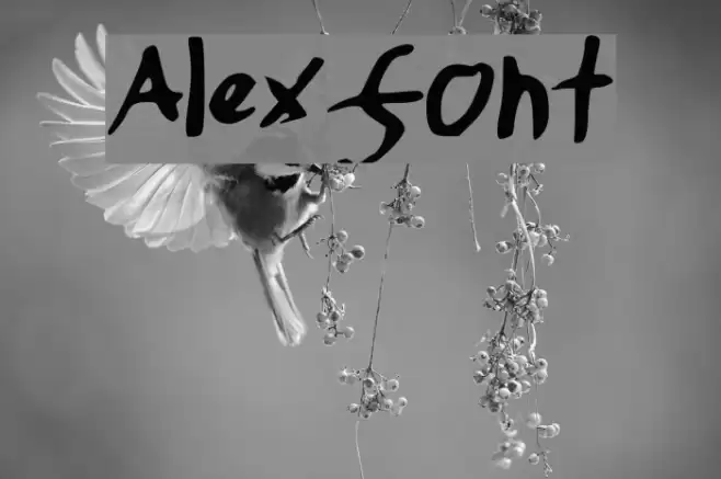 Alexfont Font examples