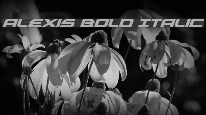 Alexis Bold Italic Font examples