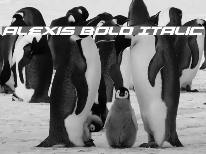 Alexis Bold Italic Font examples