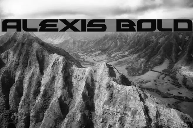 Alexis Bold Polices examples