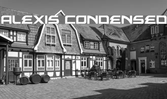 Alexis Condensed Polices examples