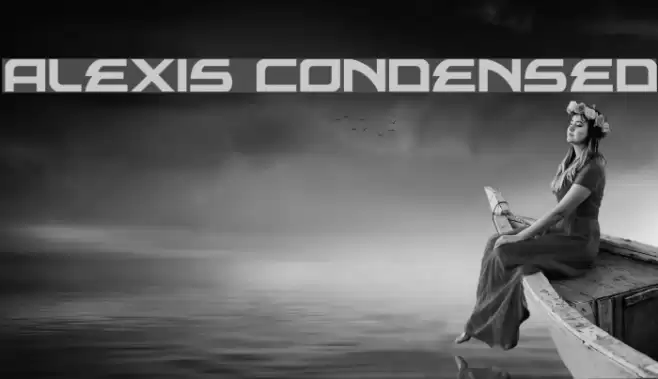 Alexis Condensed Polices examples