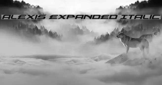 Alexis Expanded Italic フォント examples