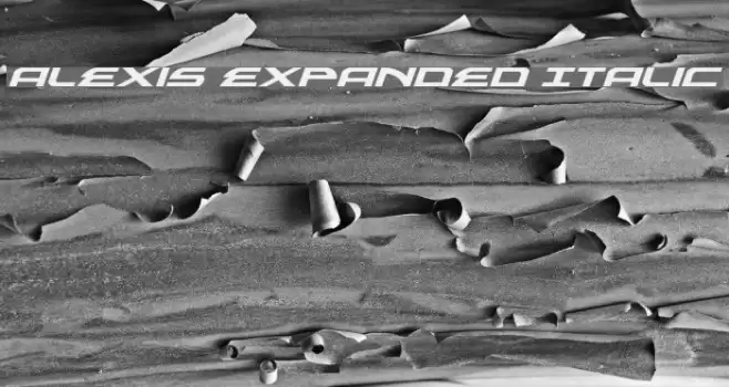 Alexis Expanded Italic フォント examples