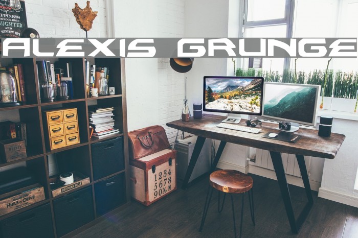 Alexis Grunge Font examples