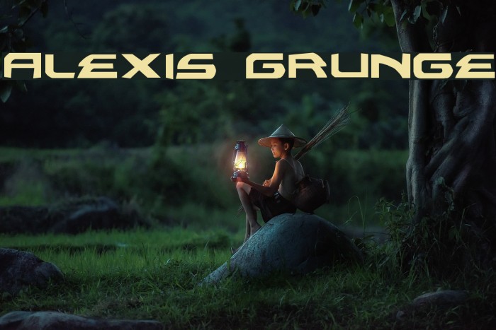 Alexis Grunge Font examples