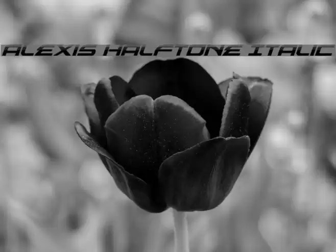Alexis Halftone Italic Font examples
