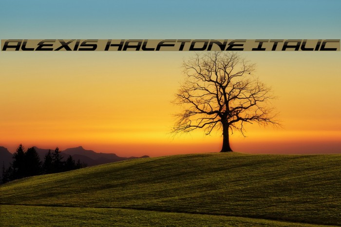 Alexis Halftone Italic Example 3