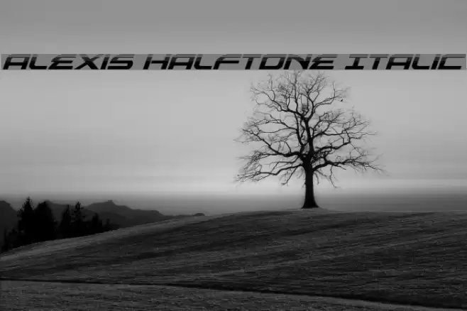 Alexis Halftone Italic Font examples