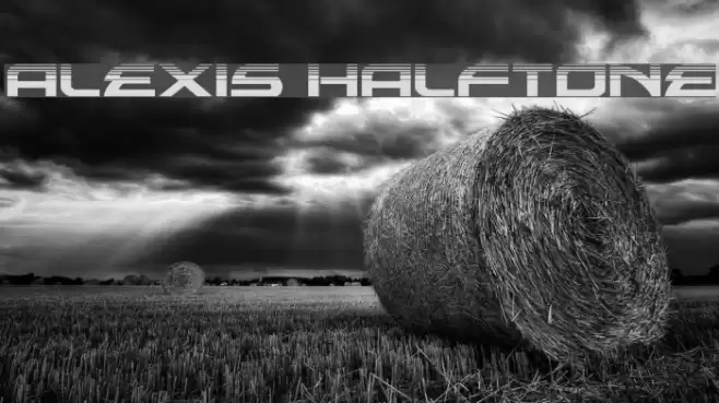 Alexis Halftone Font examples