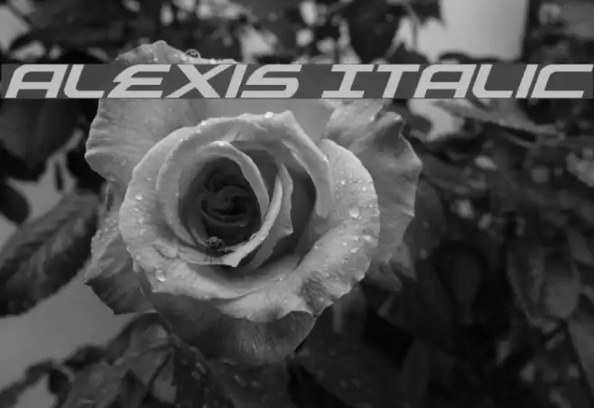 Alexis Italic Font examples