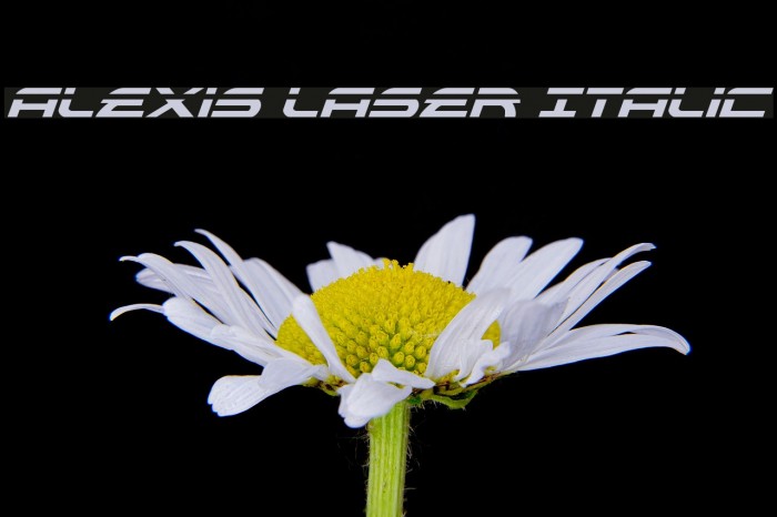 Alexis Laser Italic Font examples
