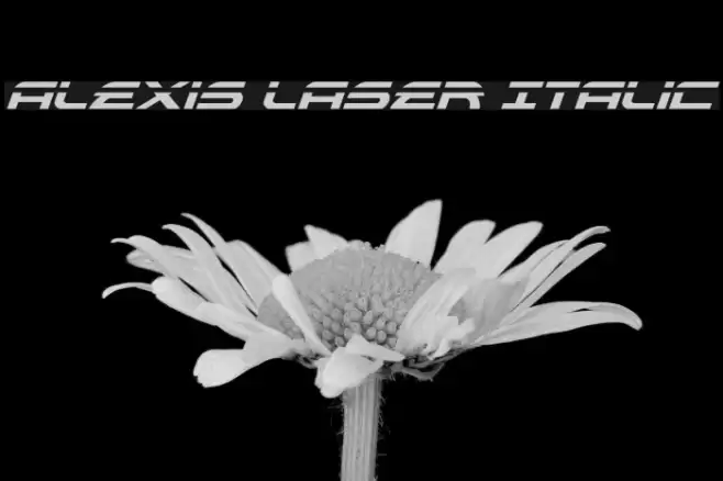 Alexis Laser Italic Schriftart examples
