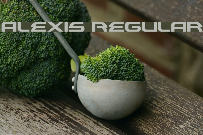 Alexis Regular Font examples