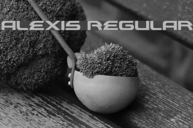 Alexis Regular Polices examples