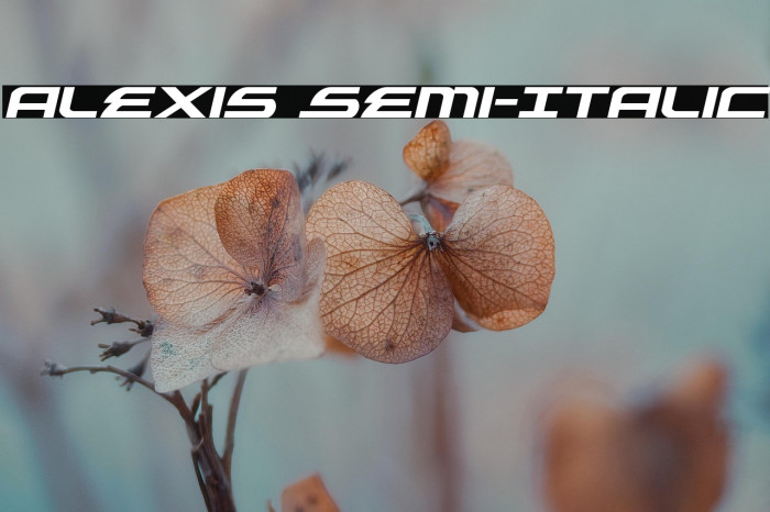 Alexis Semi-Italic Example 1
