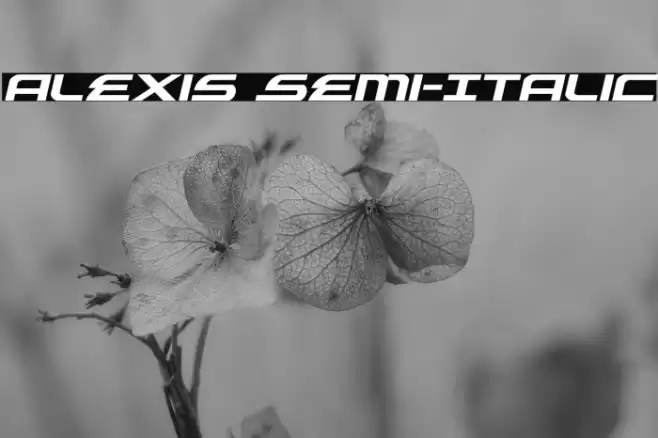 Alexis Semi-Italic Font examples