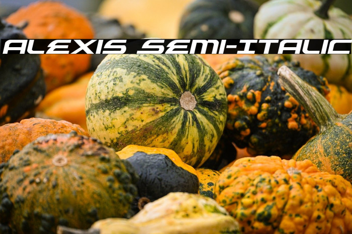 Alexis Semi-Italic Example 2