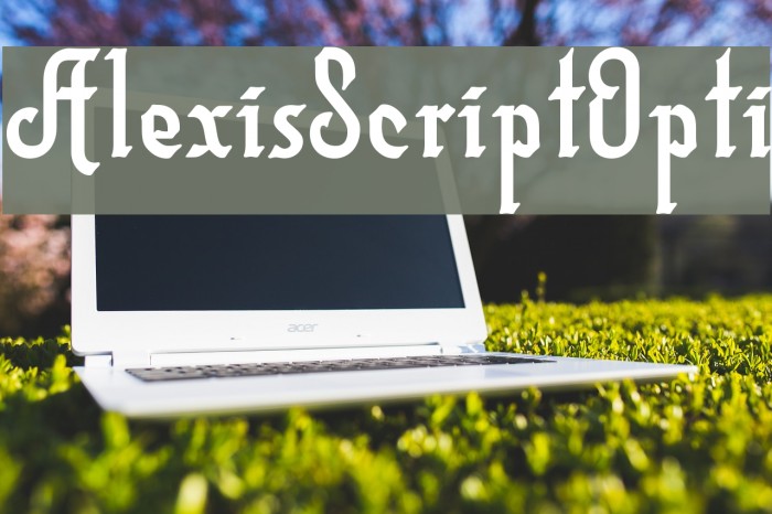 AlexisScriptOpti Font examples