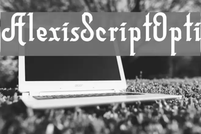 AlexisScriptOpti Font examples