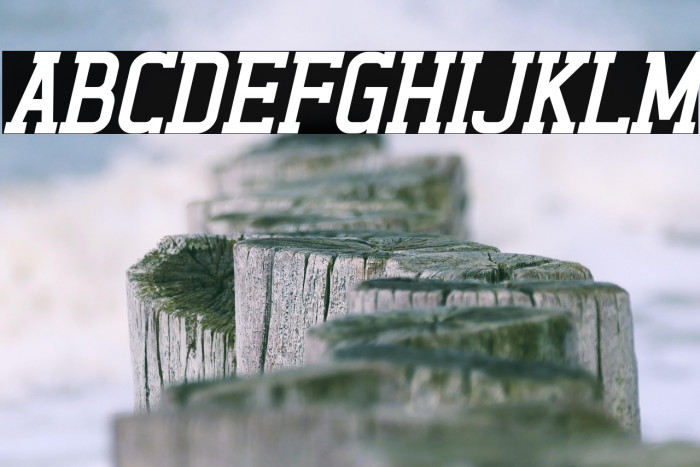 Alexside Italic Example 3