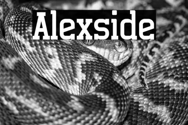 Alexside Font examples