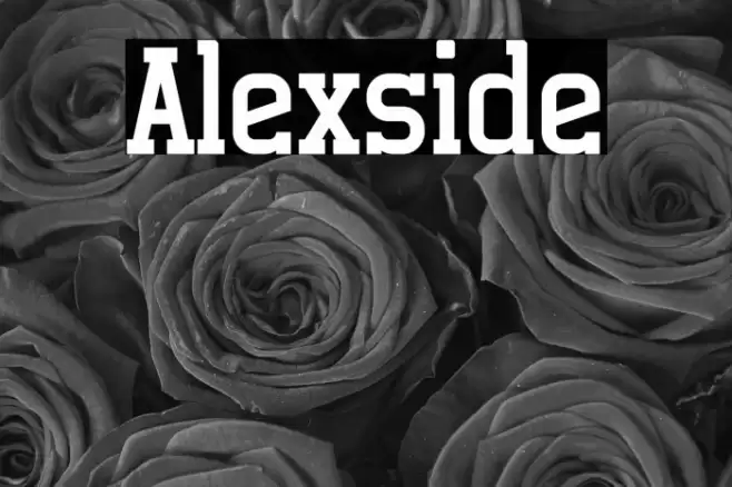 Alexside Font examples