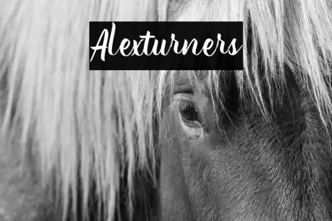 Alexturners Font examples