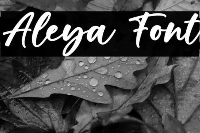 Aleya फ़ॉन्ट examples