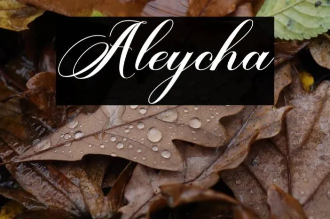 Aleycha Example 2