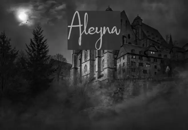 Aleyna Font examples