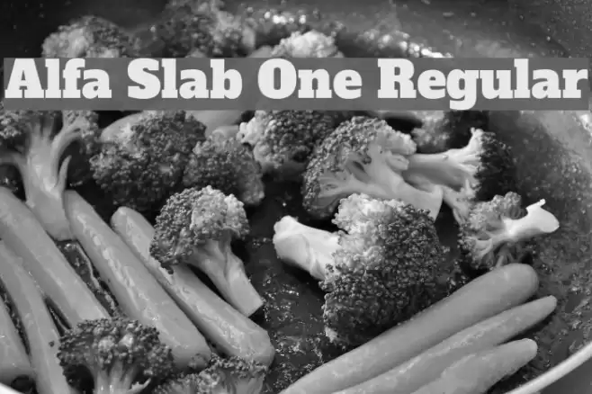 Alfa Slab One Regular Font examples