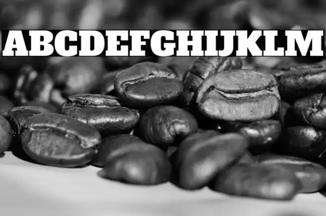 Alfa Slab One خط examples