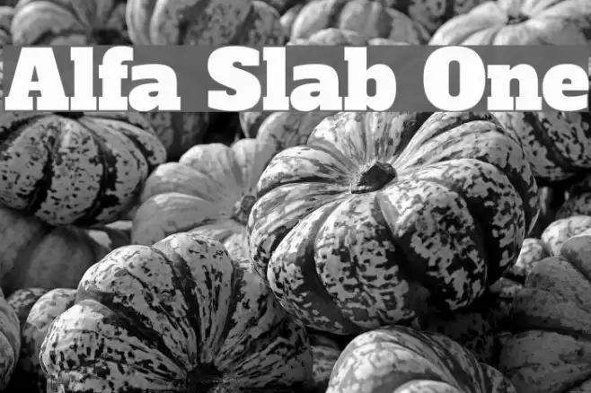 Alfa Slab One Font examples
