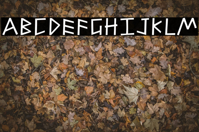 Alfabetix Font examples