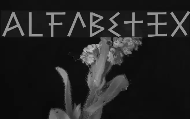 Alfabetix Font examples