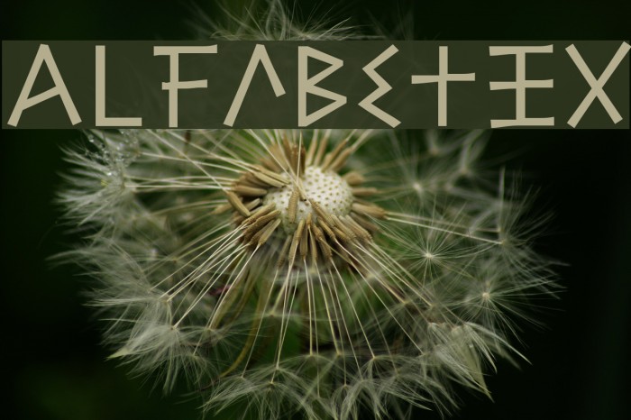 Alfabetix Font examples