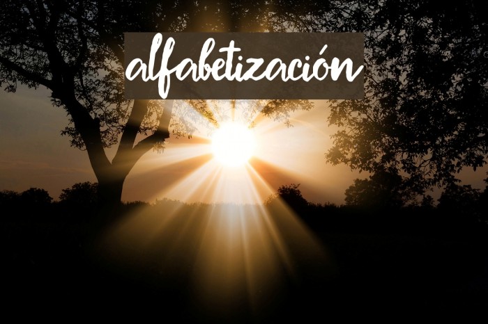 Alfabetizacin फ़ॉन्ट examples