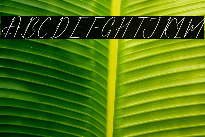 Alfinstare Qobylatin DEMO VERSI Example 3