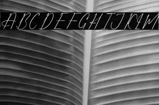 Alfinstare Qobylatin DEMO VERSI خط examples