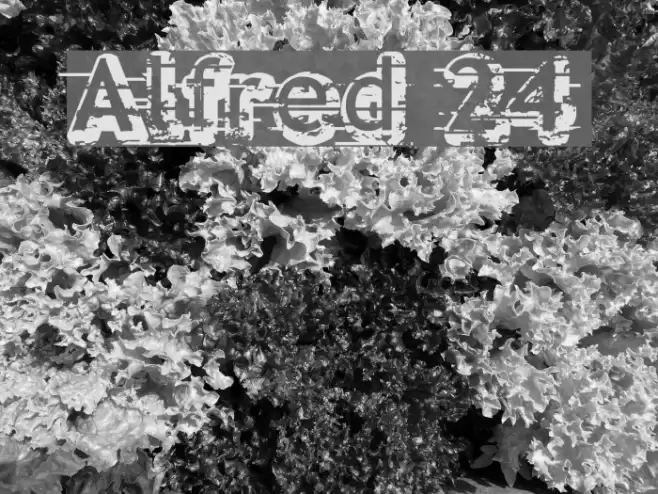 Alfred 24 Font examples