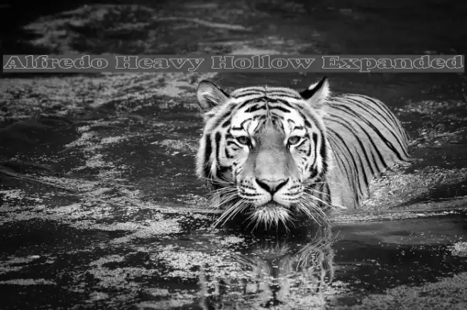 Alfredo Heavy Hollow Expanded Font examples