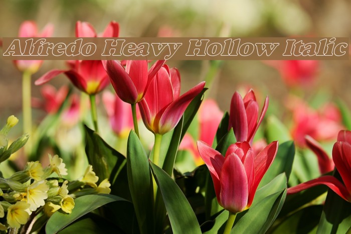 Alfredo Heavy Hollow Italic Font examples