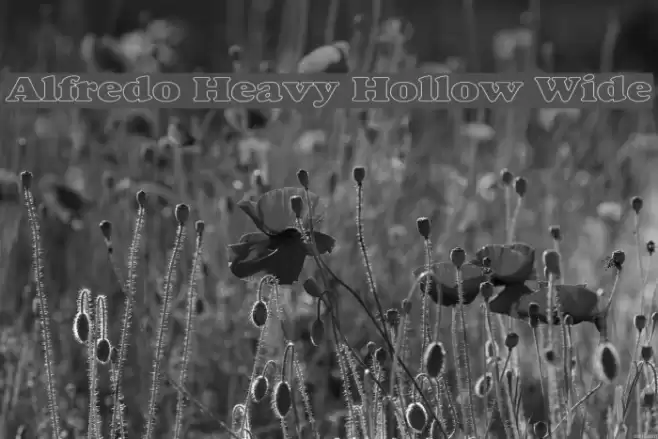 Alfredo Heavy Hollow Wide Font examples