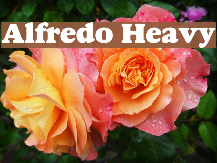 Alfredo Heavy Font examples