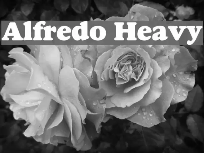 Alfredo Heavy Fonte examples